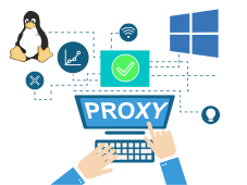 Setup a proxy server on Windows and Linux